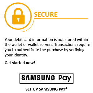 Secure - Your debit card information is not stored within the wallet or wallet servers. Transactions require you to authenticate the purchase by verifying your identity. Get started now!